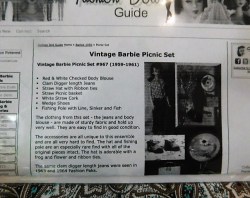 picnic set jeans write